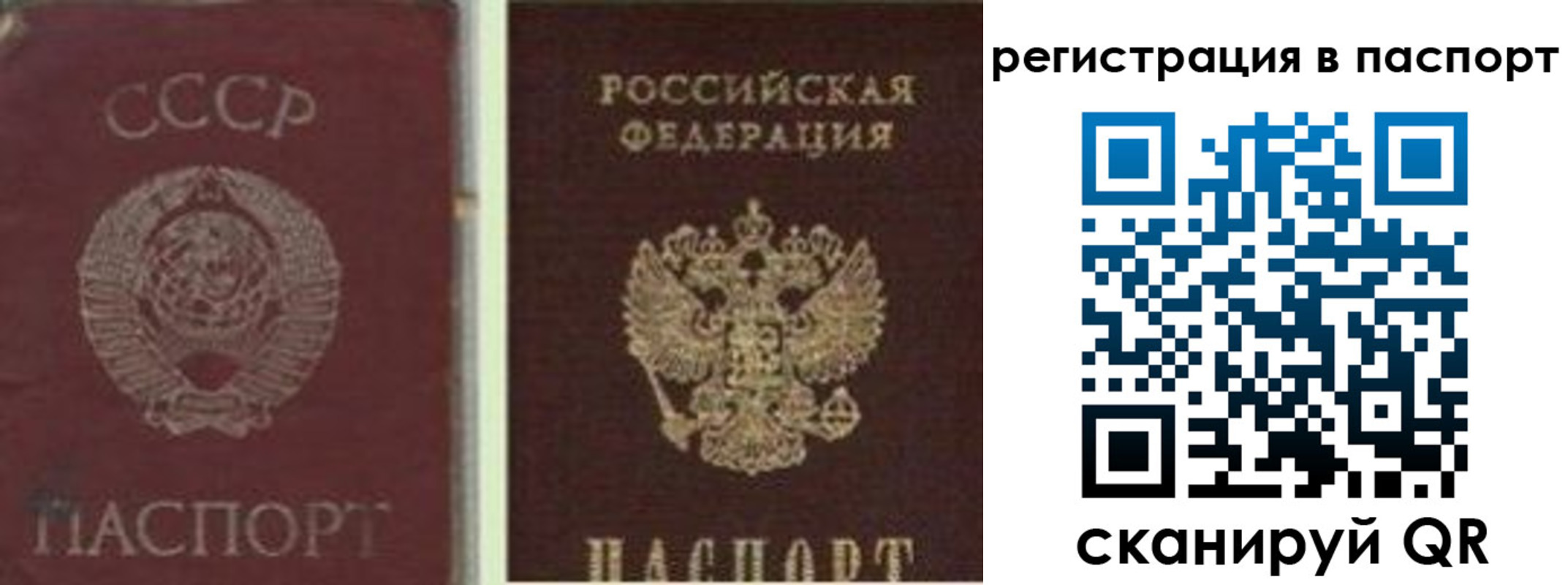 прописка для работы в Ростове